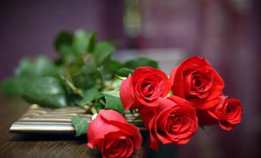 養花的土壤應該用什么?