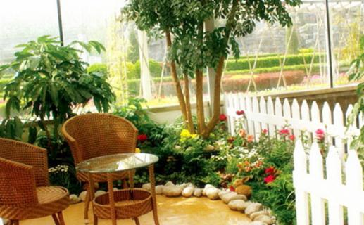 家中養花的誤區你都犯了嗎?