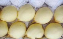 經期吃什么水果好？經期不能吃什么？