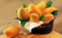 選購芒果 七個要點(diǎn)需用上