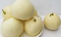 甜瓜的選購要點(diǎn)有哪些？