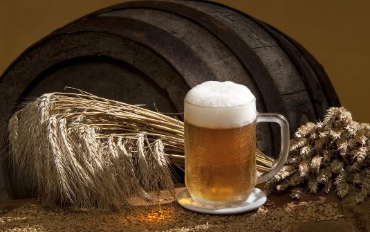 啤酒對(duì)于盆花的妙用你都了解嗎？