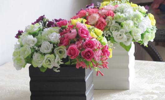 養在衛生間里的花卉如何擺置？