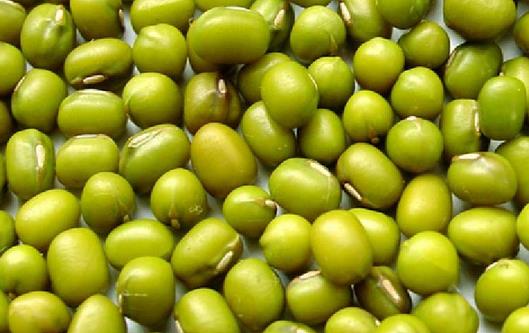 吃什么可以降血脂?高血脂患者飲食大全