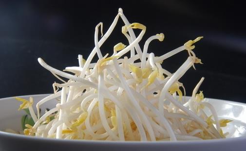 哪些蔬菜適宜發(fā)芽了吃？