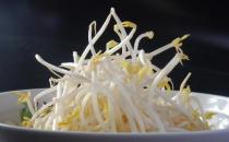 哪些蔬菜適宜發芽了吃？