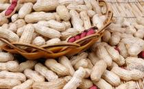花生的營養價值盤點