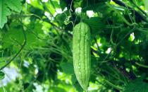 手術后這樣吃加速傷口愈合