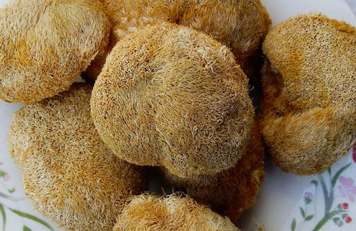 誘發(fā)乳腺癌發(fā)病原因大盤點(diǎn)