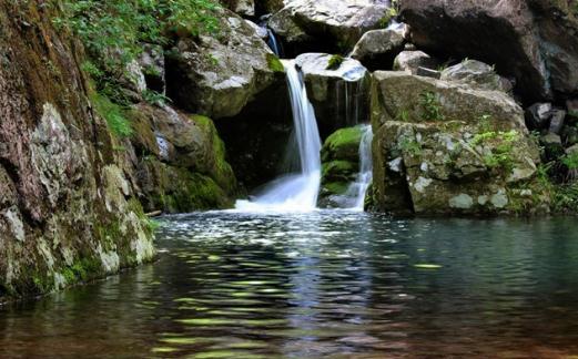 戶外旅游求生技巧:如何在野外尋找水源