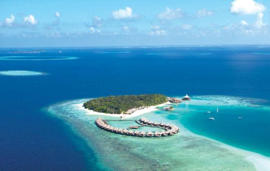 外出旅游要注意避開這些毒物！