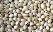 吃白果的好處有哪些