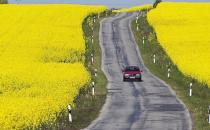 護照申請的審批有什么規定？