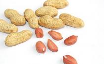 春季男人要怎么養生 清淡飲食多吃堅果