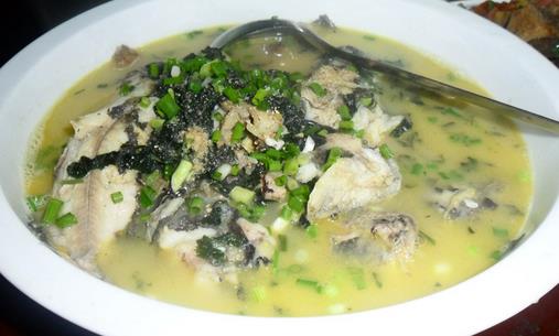 春季吃什么魚最營養？