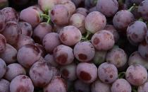 孕婦吃什么補(bǔ)血好？補(bǔ)血的食物與食療方