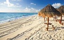 到墨西哥來(lái)看看仙人掌