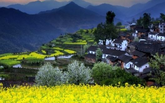 與春天來約會(huì):婺源歸來不看村