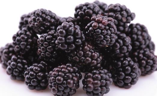 沙眼吃哪些食物好?