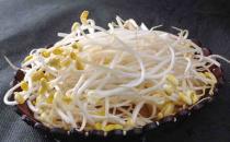 黃豆芽的營養價值有哪些