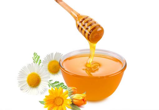 老人養(yǎng)生要多吃蜂蜜