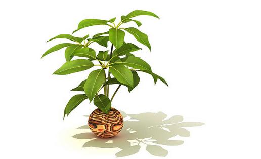 居家省錢妙招:洗內(nèi)衣的方法