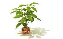 居家省錢妙招：洗內衣的方法