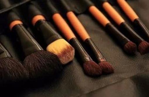 它該多久洗澡? 刷具也要做SPA