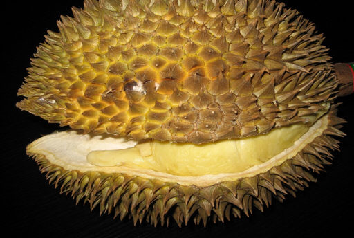 榴蓮不能和什么東西一起吃