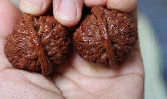 助男性增壽的手部運動法