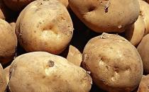 結(jié)石病人不能吃哪些食物？