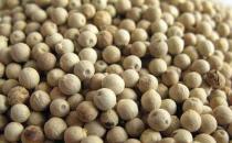 胡椒有什么營養價值？黑白胡椒有什么區別？