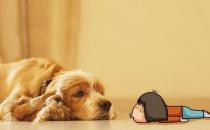 盤點家庭細(xì)菌的危害