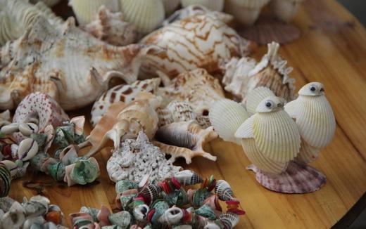 貝殼工藝品的制作方法和文化價值