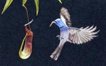 蘇繡的搭配知識 蘇繡的保養方法