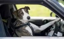 工作狂的病態心理解析