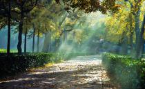 在職場要保持陽光心態應對挑戰