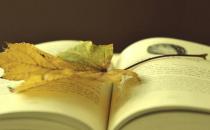 求職路上不要踩到這些雷區