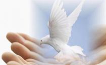 ?為什么求職失敗？來找找失敗的原因