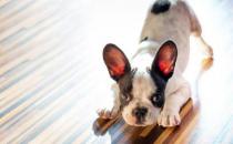 如何快速融入工作新環境？