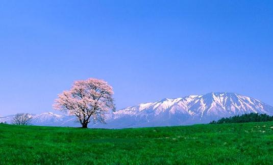 90后初入職場如何排除職場路障?