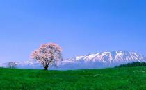 90后初入職場如何排除職場路障？