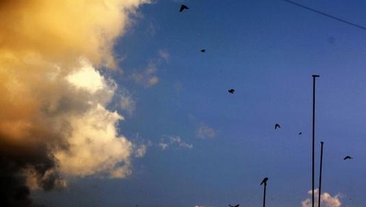 患上“網絡拖延癥”該怎么辦?