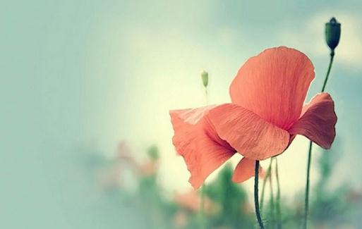 盤點職場新人的快樂:細心聆聽為聰明之本