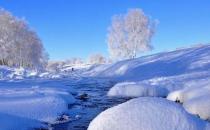 在職場被上司冷淡要怎么辦？