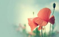 盤點職場新人的快樂：細心聆聽為聰明之本