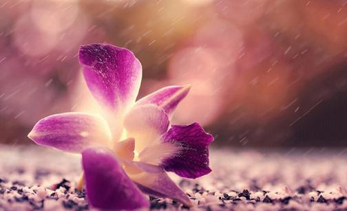 如何提升在職場的安全感