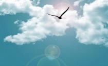 ?影響職場晉升的6個心理性格