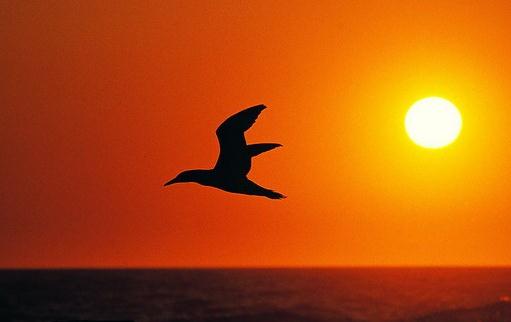 經(jīng)驗(yàn)分享：見(jiàn)習(xí)生對(duì)職場(chǎng)的感悟