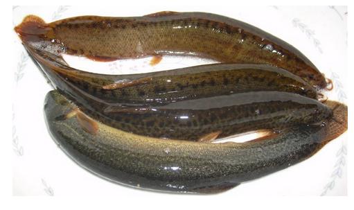 8種肉類(lèi)吃出男人性福